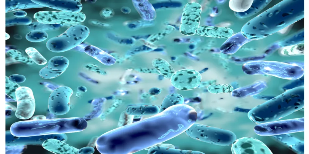 بكتيريا قادمة أخطر من سابقاتها