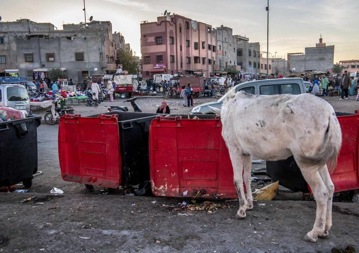 علاقة بين الفقر وتدني القدرات العقلية