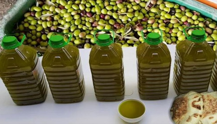 ثمن زيت الزيتون في المغرب