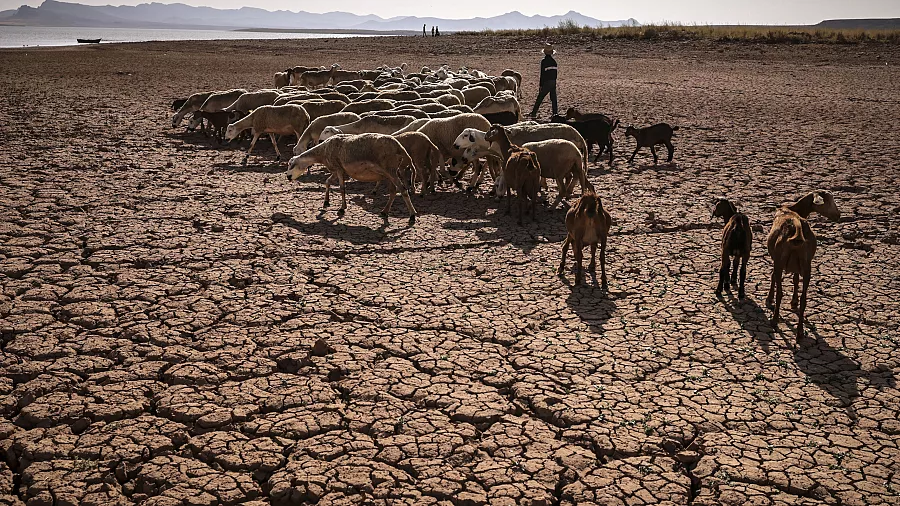 Morocco climate change