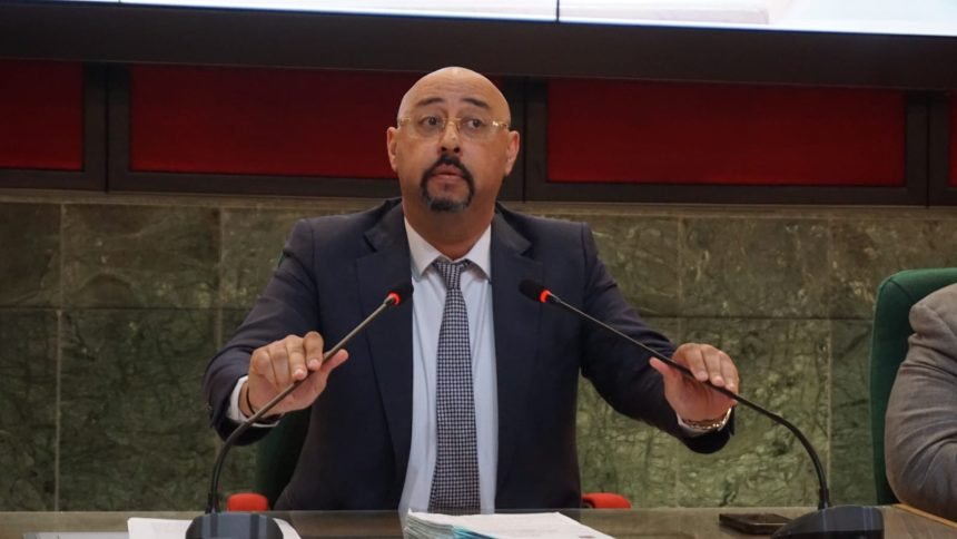 عمدة طنجة والكلاب الضالة