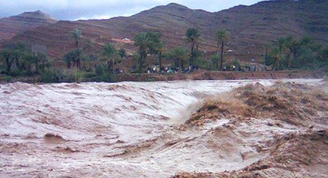 طاطا تتنفس تحت الماء