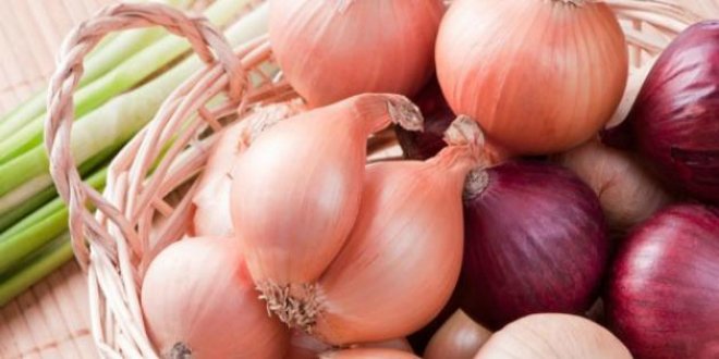 البصل المغربي أسعار ملتهبة