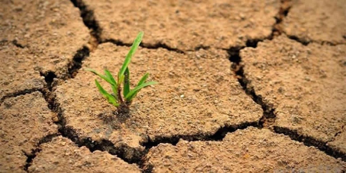 الفلاحة بالمغرب أمام تحديات الجفاف